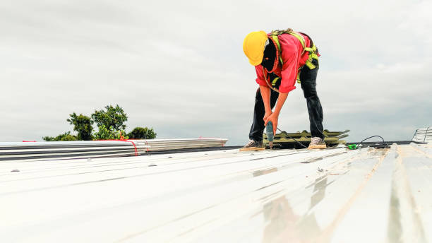 Best Roof Ventilation Installation  in Brackettville, TX