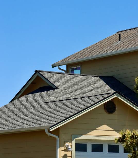 Best Skylight Installation and Repair  in Brackettville, TX